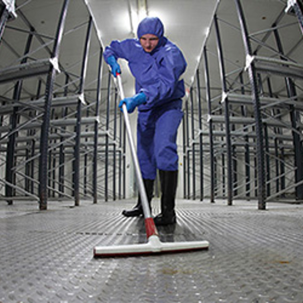 Clinical Cleaning